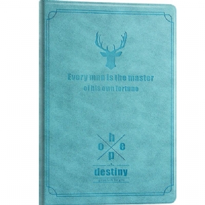 Case Samsung Galaxy Tab S10 Fe Hirsch